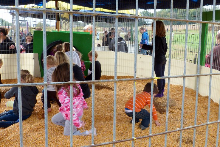Corn Pit